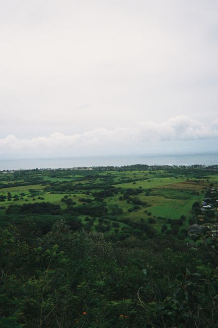 Photo by Caleb Lamb A scenic view of Hawaii's lush green fields with the ocean in the background under a cloudy sky.