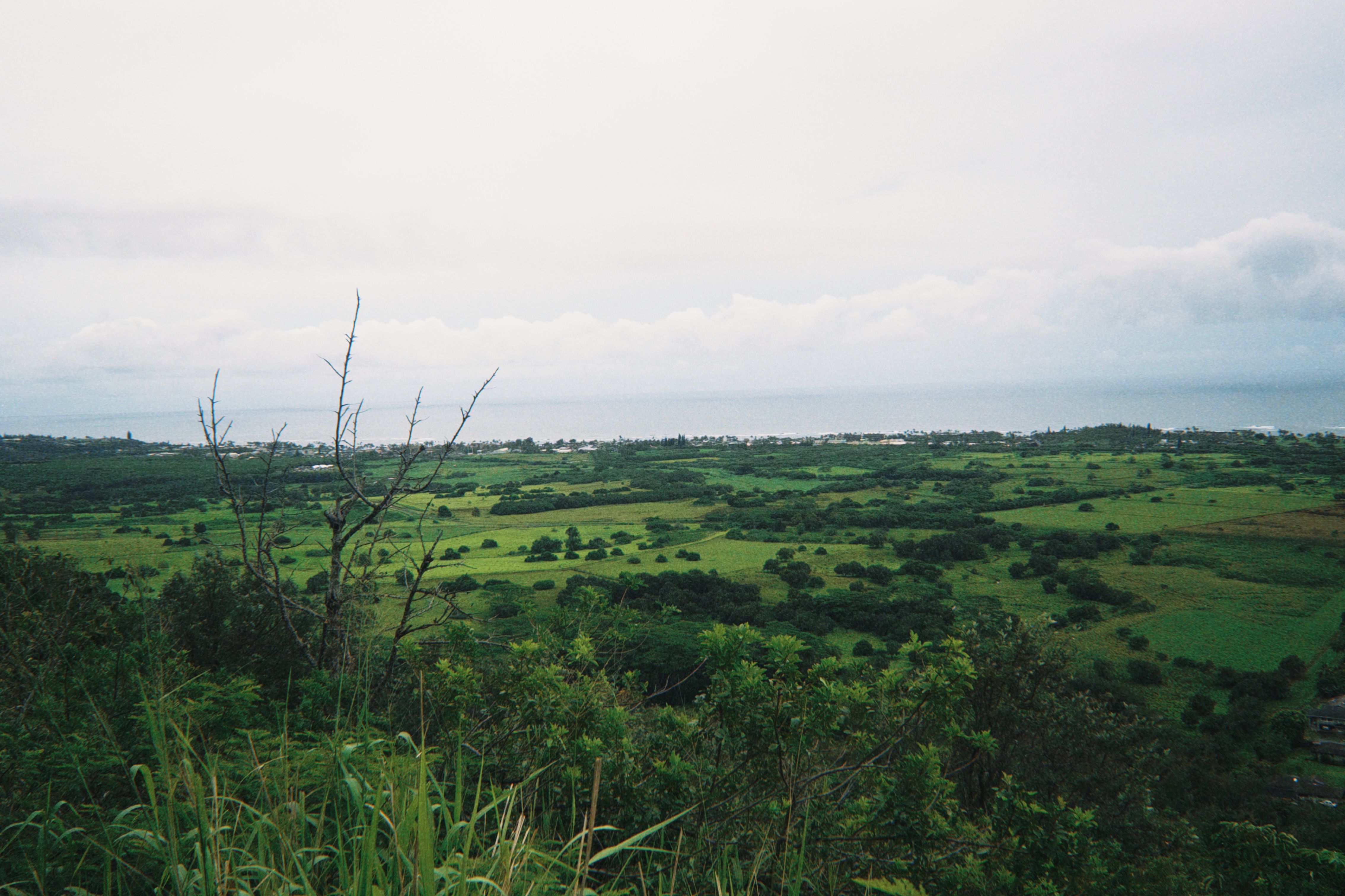 Hawaiian Landscape Photos, Download The BEST Free Hawaiian