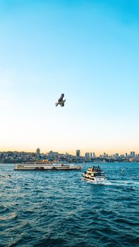 A scenic view of boats and seagulls on the Bosphorus at sunset, İstanbul, Türkiye.