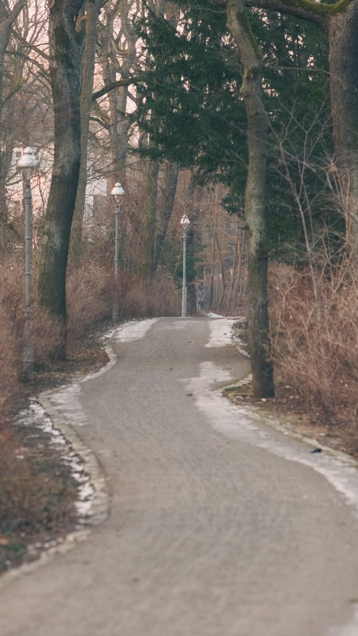 Quick Walking Meditation: How to Turn a 10-Minute Walk into a Stress Reliever