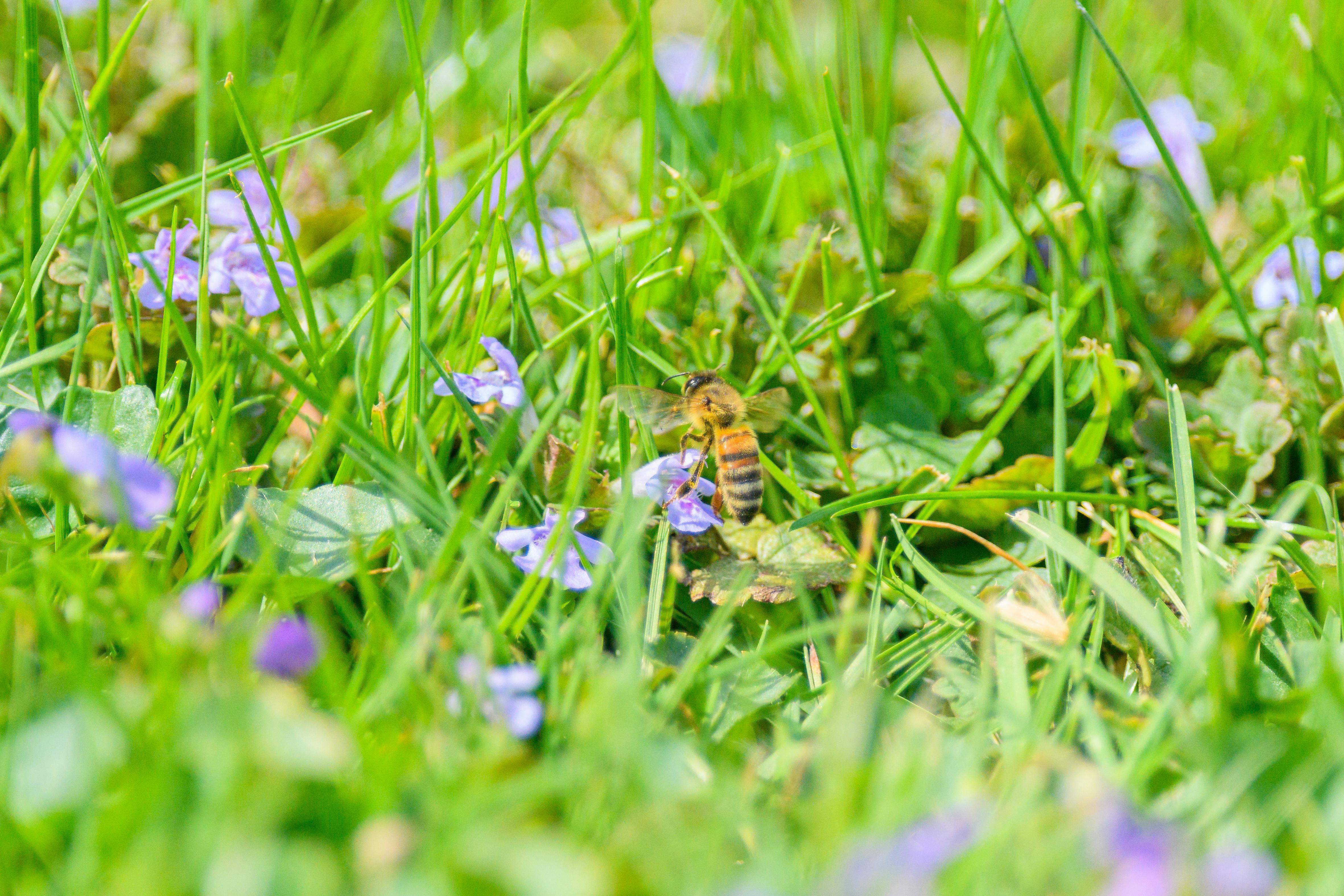 Local expert offers tips to 'spring clean' your beauty, skincare routine — Photo by Jay Brand on Pexels