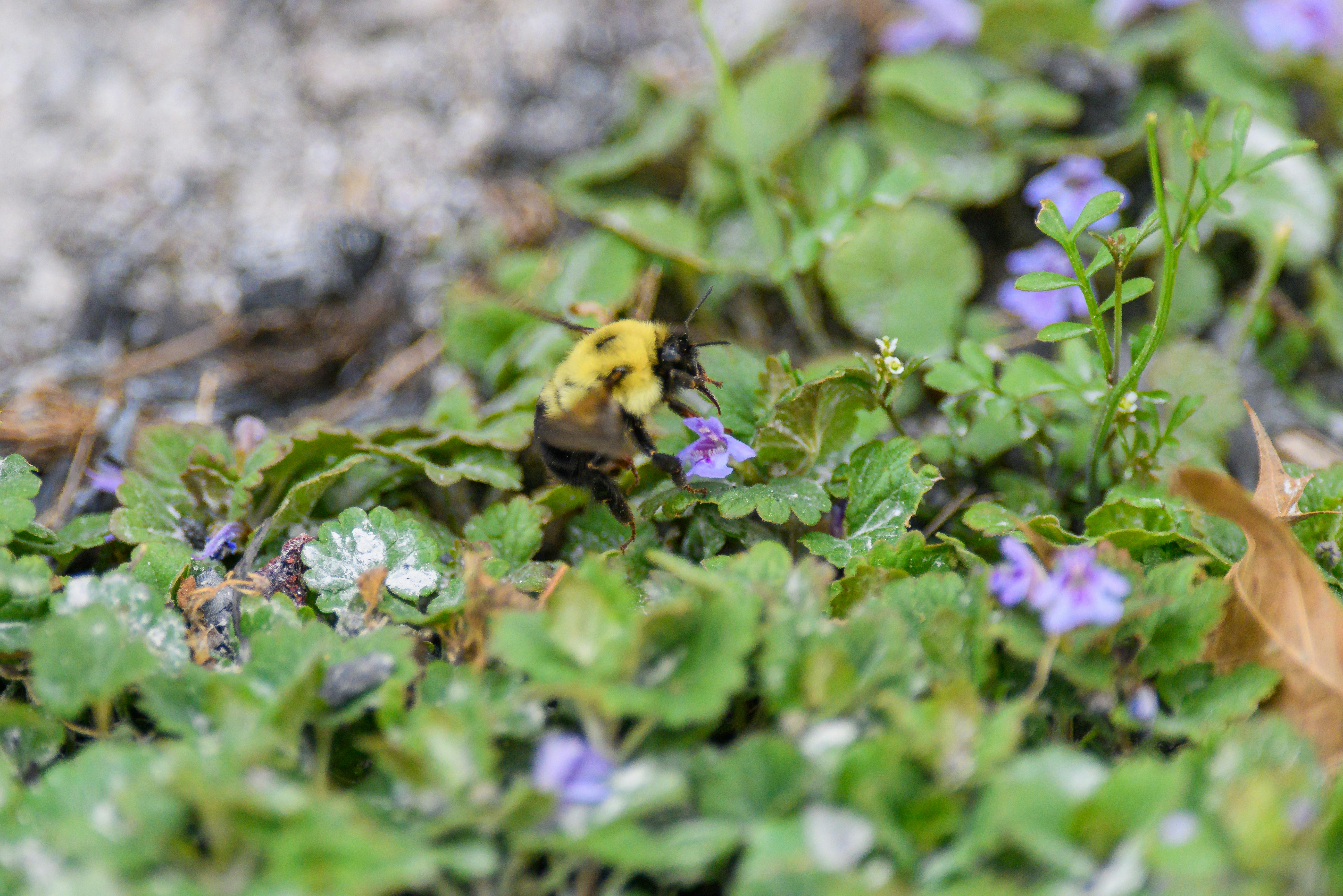 Ark Valley Civics Bee Competition to Send Three Local Students to State — Photo by Jay Brand on Pexels