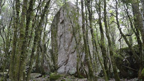 Free Explore the mysterious rock formations surrounded by lush forest in Levie, Corsica, France. Stock Photo