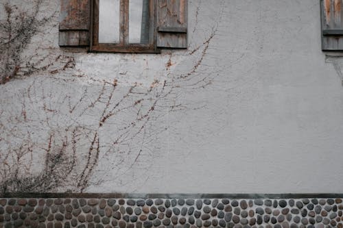흰 콘크리트 벽에 갈색 나무 창틀