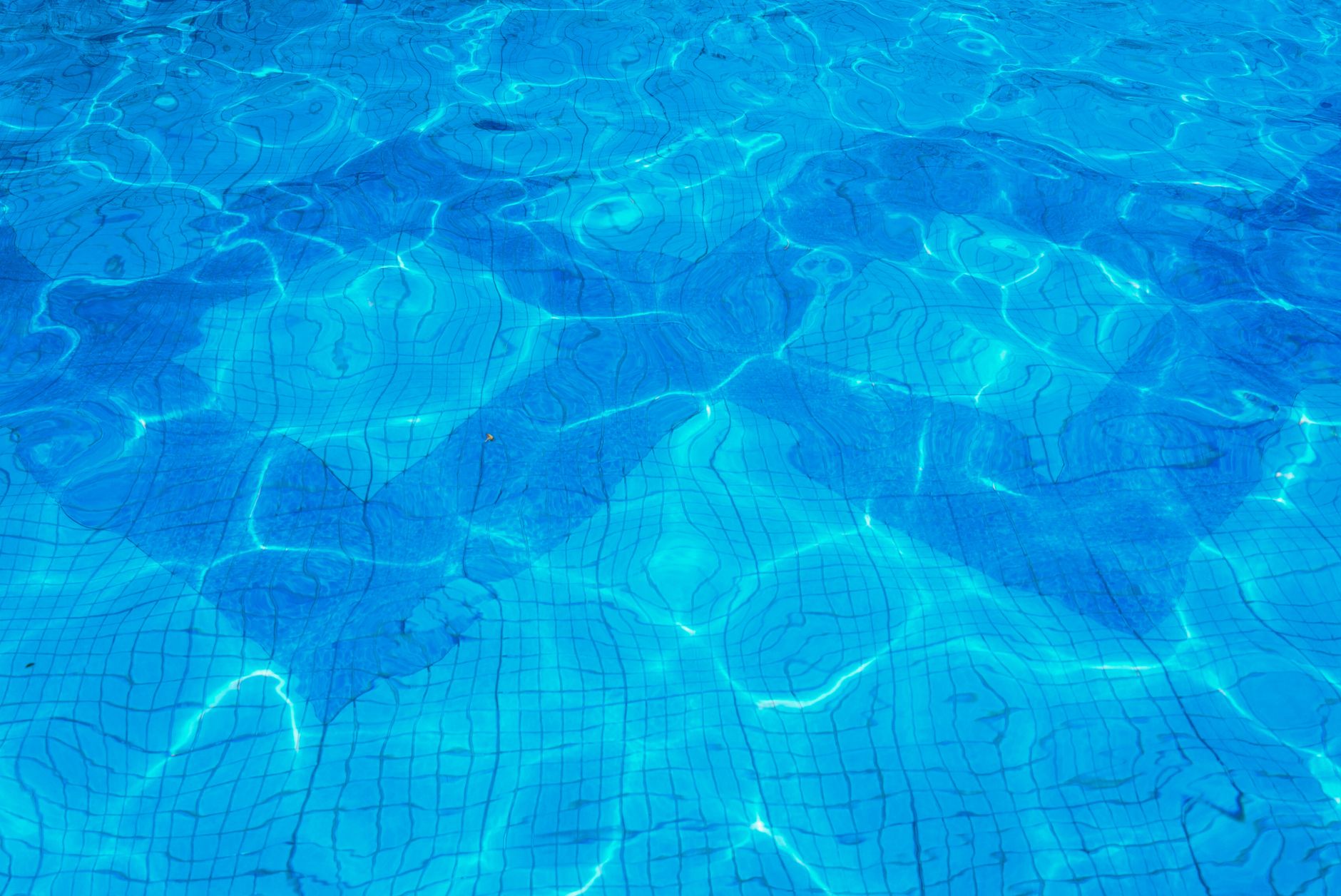 Académie - Natation Juniors B