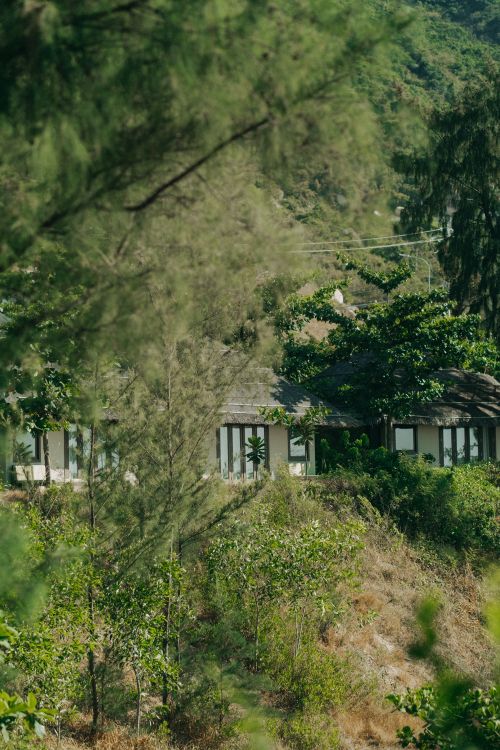 Free A serene hillside cottage surrounded by dense green foliage, offering a peaceful retreat. Stock Photo