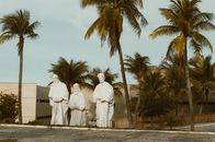 Sculptures amidst palm trees in sunny Natal, capturing Brazil's unique cultural essence.