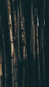 dark smoked bamboo rustic