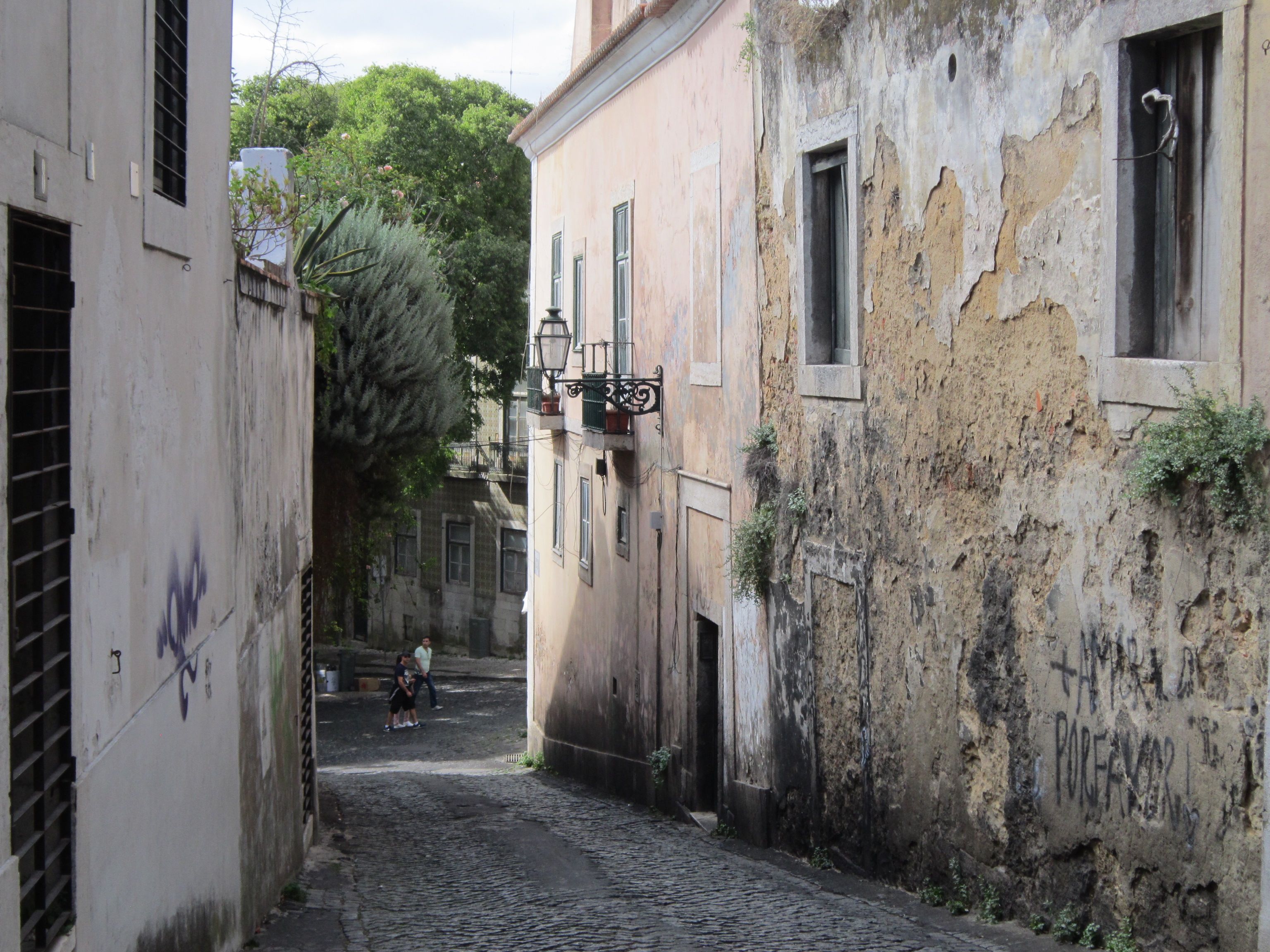 Calm tree-lined street in Príncipe Real, Lisbon, a work-friendly nomad base