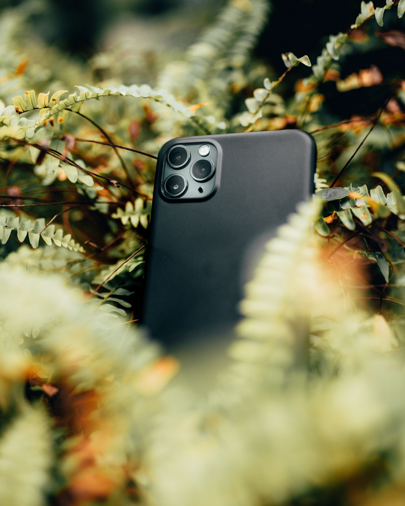 Black smartphone surrounded with plants