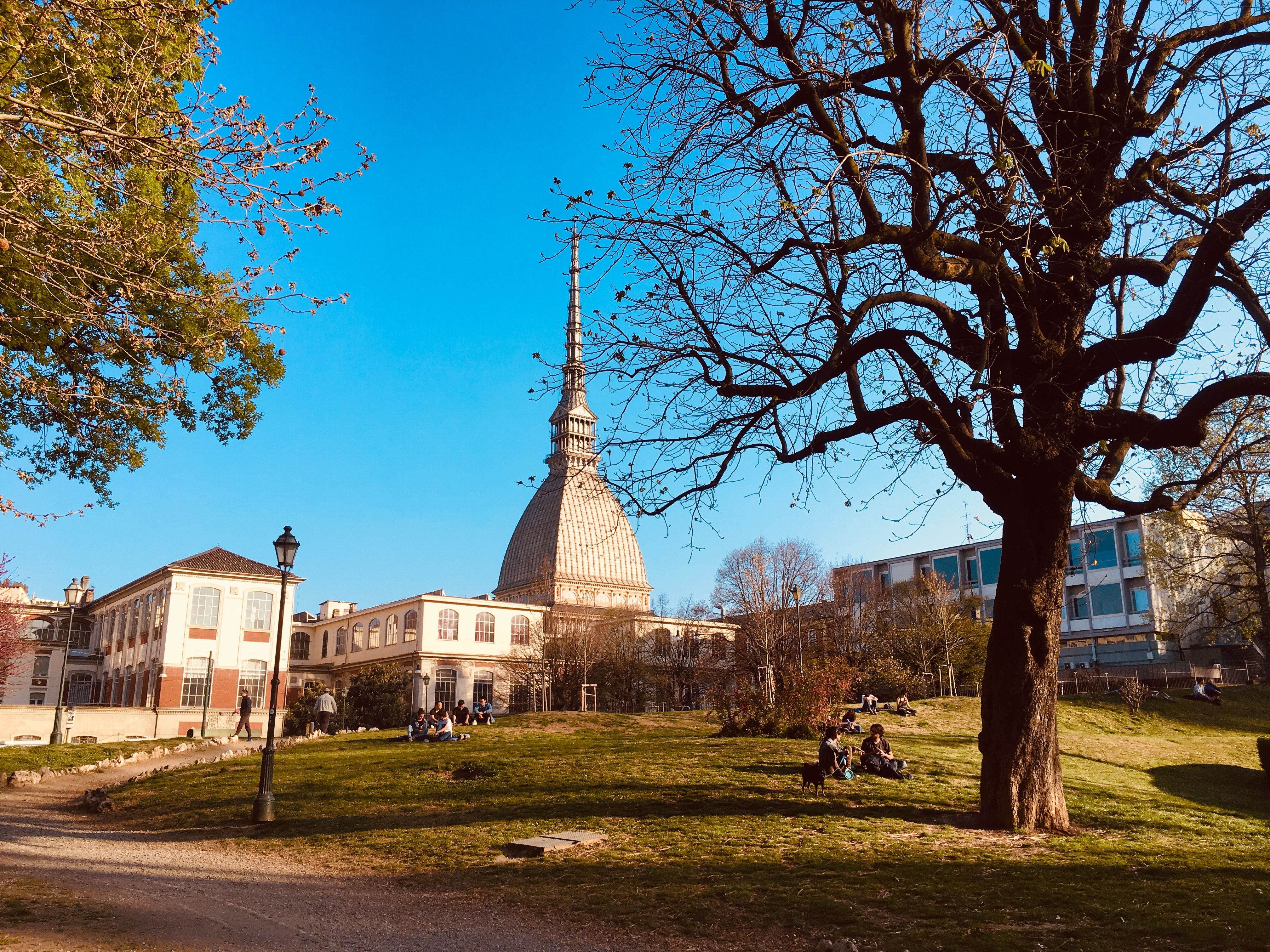 Mole Antonelliana & National Cinema Museum