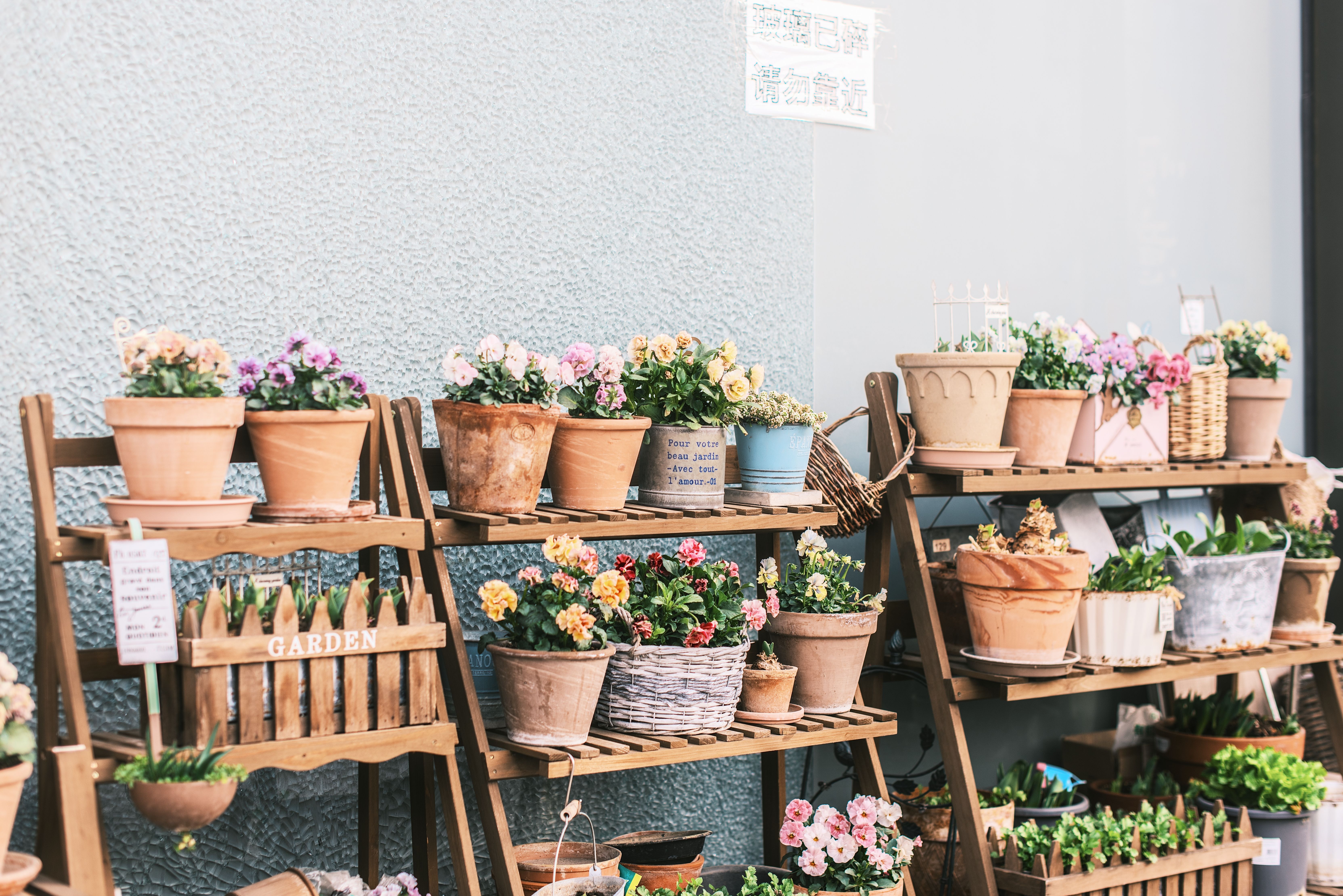 Comment Choisir les Plantes Parfaites pour Votre Micro-Jardin