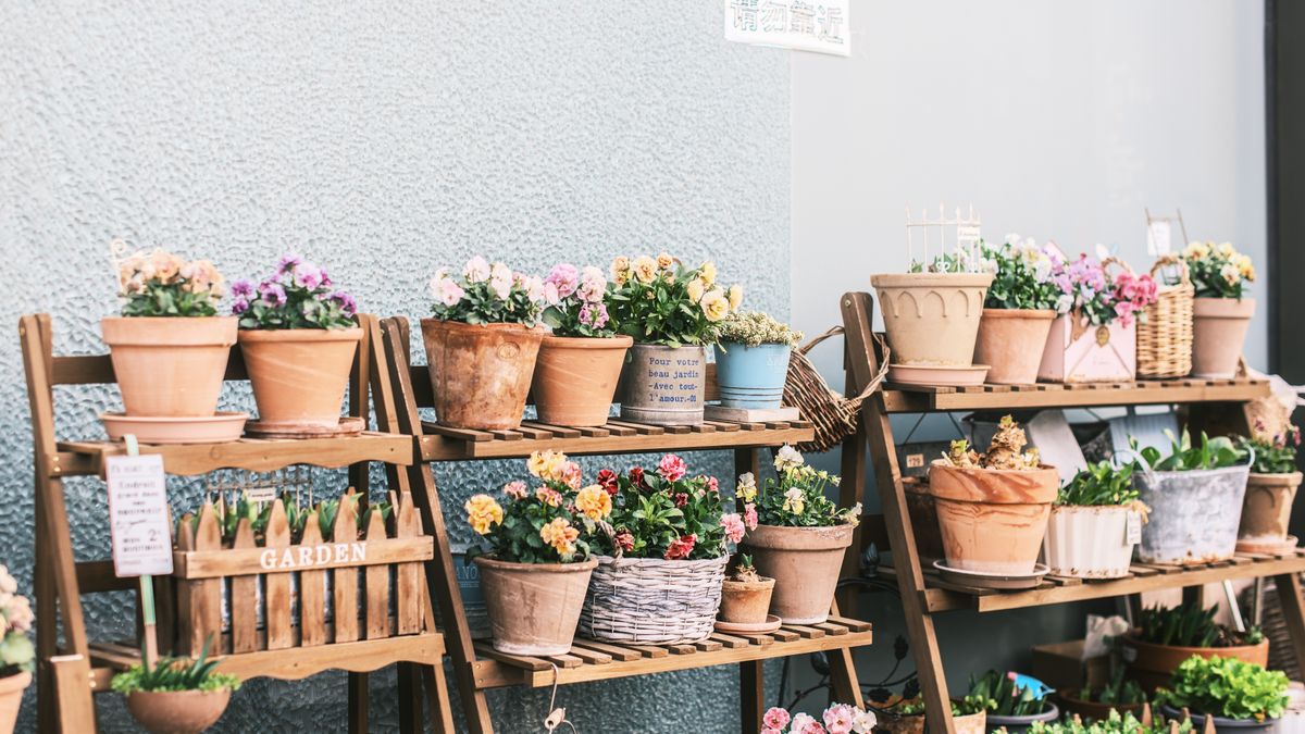 Décoration de terrasse avec des plantes en pot : créer des coins cosy pour lété - illustration