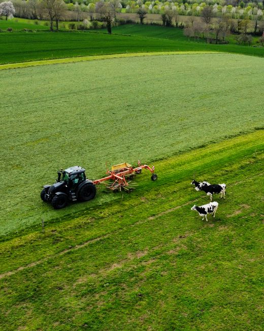 Impact of Covid-19 Pandemic on Tourist Behavior: A Case Study on South Moravia