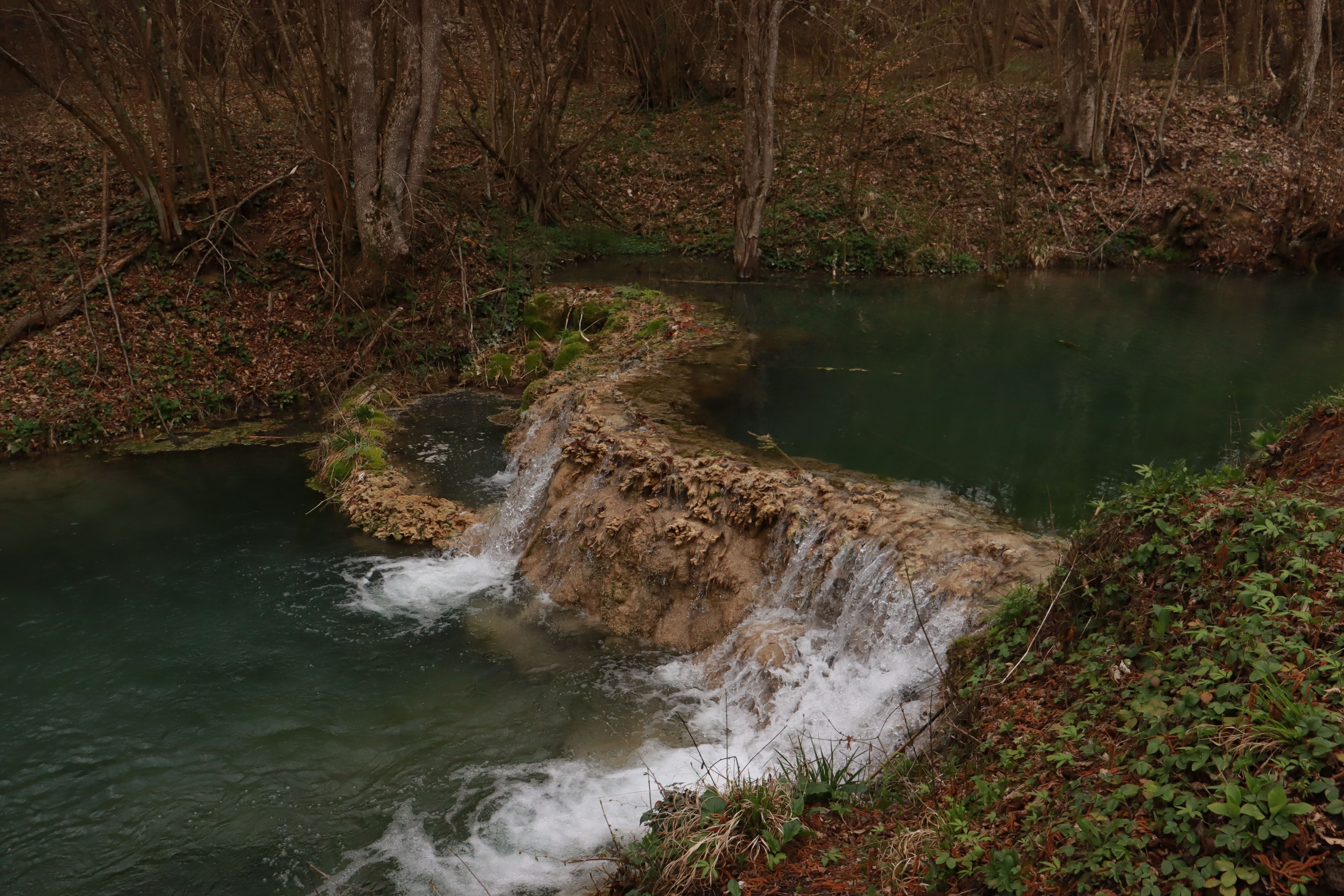 Sulphur Fork Creek flowing through wooded banks near Springfield