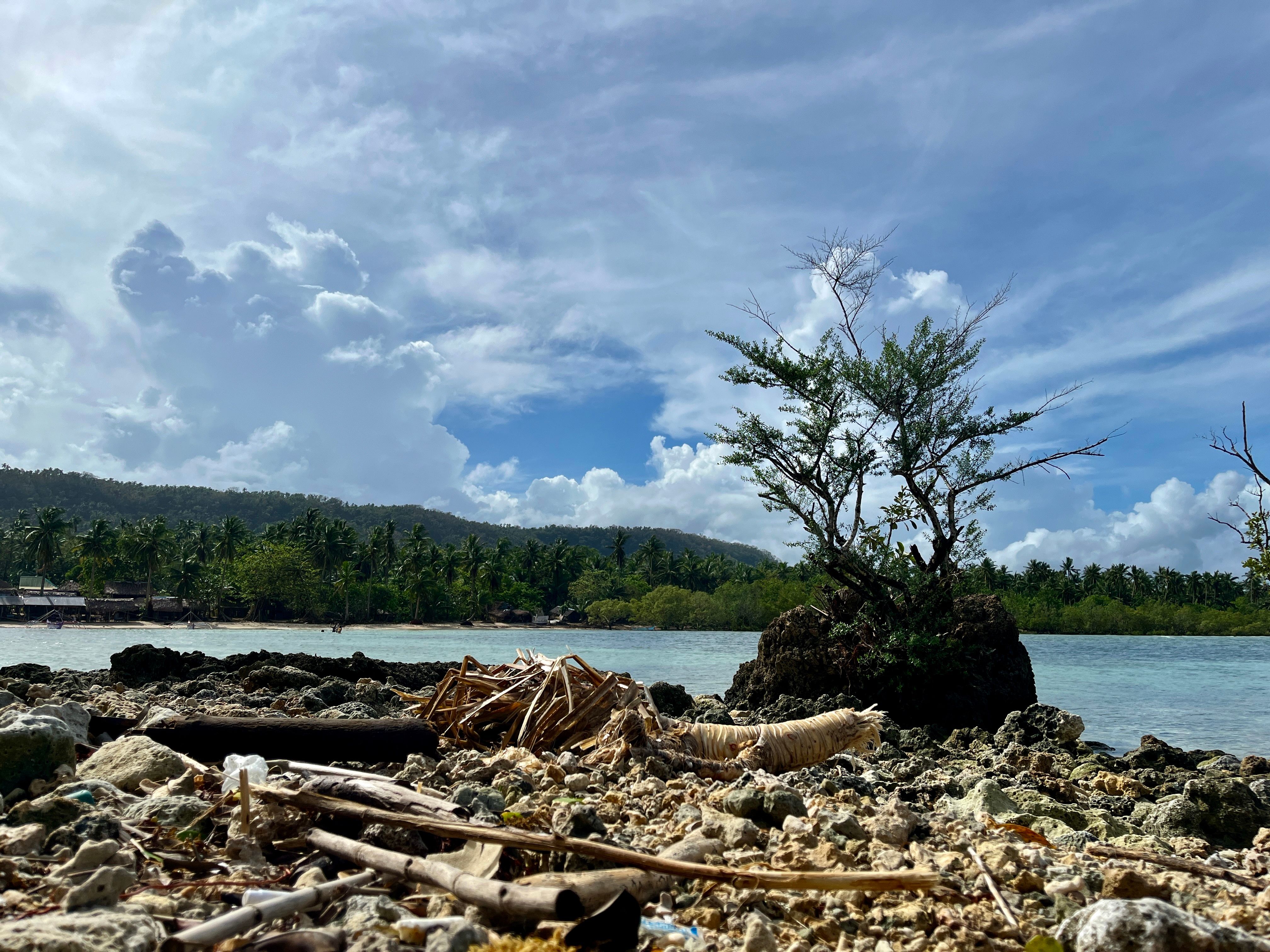 Palau landscape