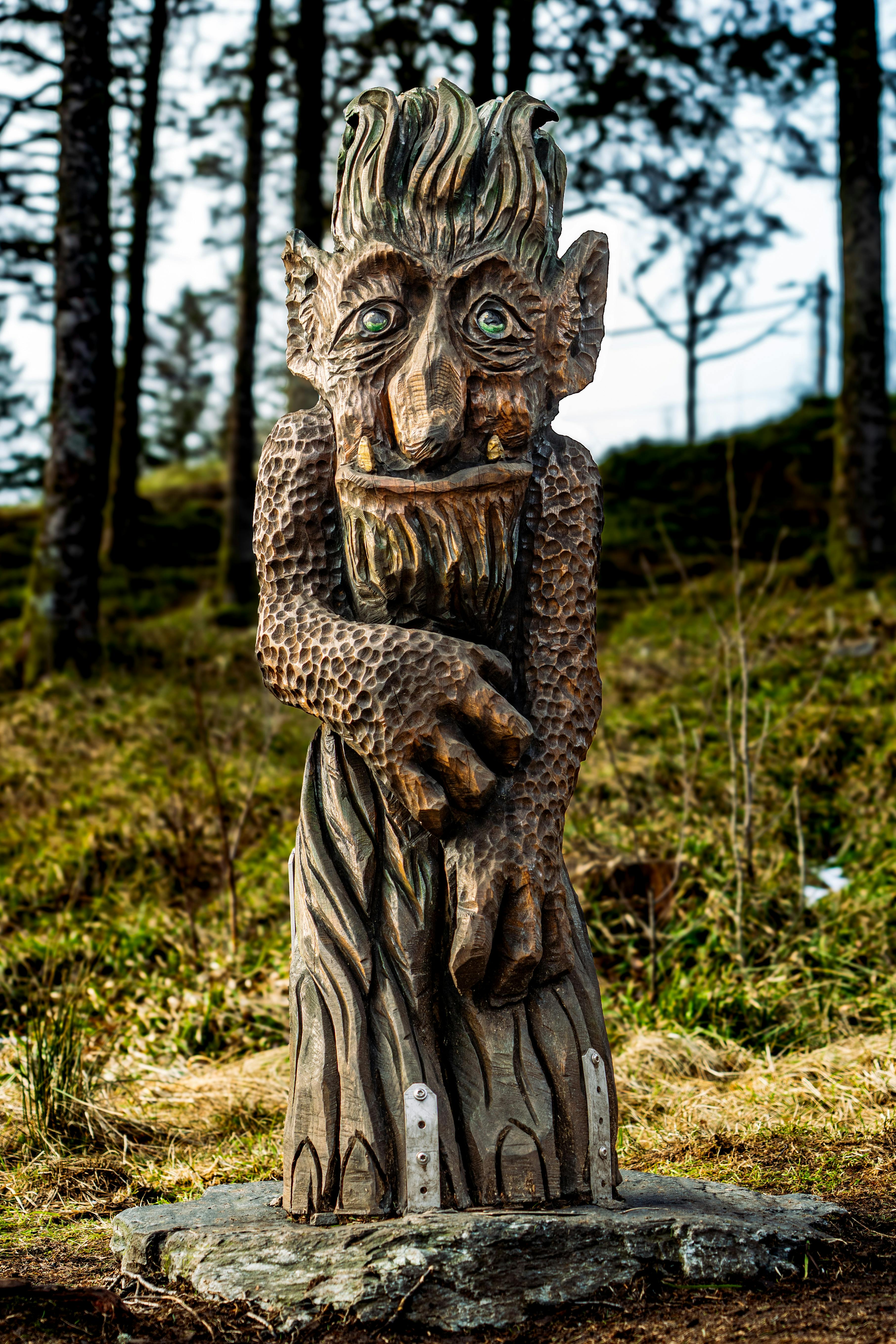 Charming wooden troll statue amidst Bergen forest, captured with detailed texture and natural ambiance.