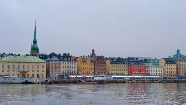 Fotografiska with a curator — Stockholm