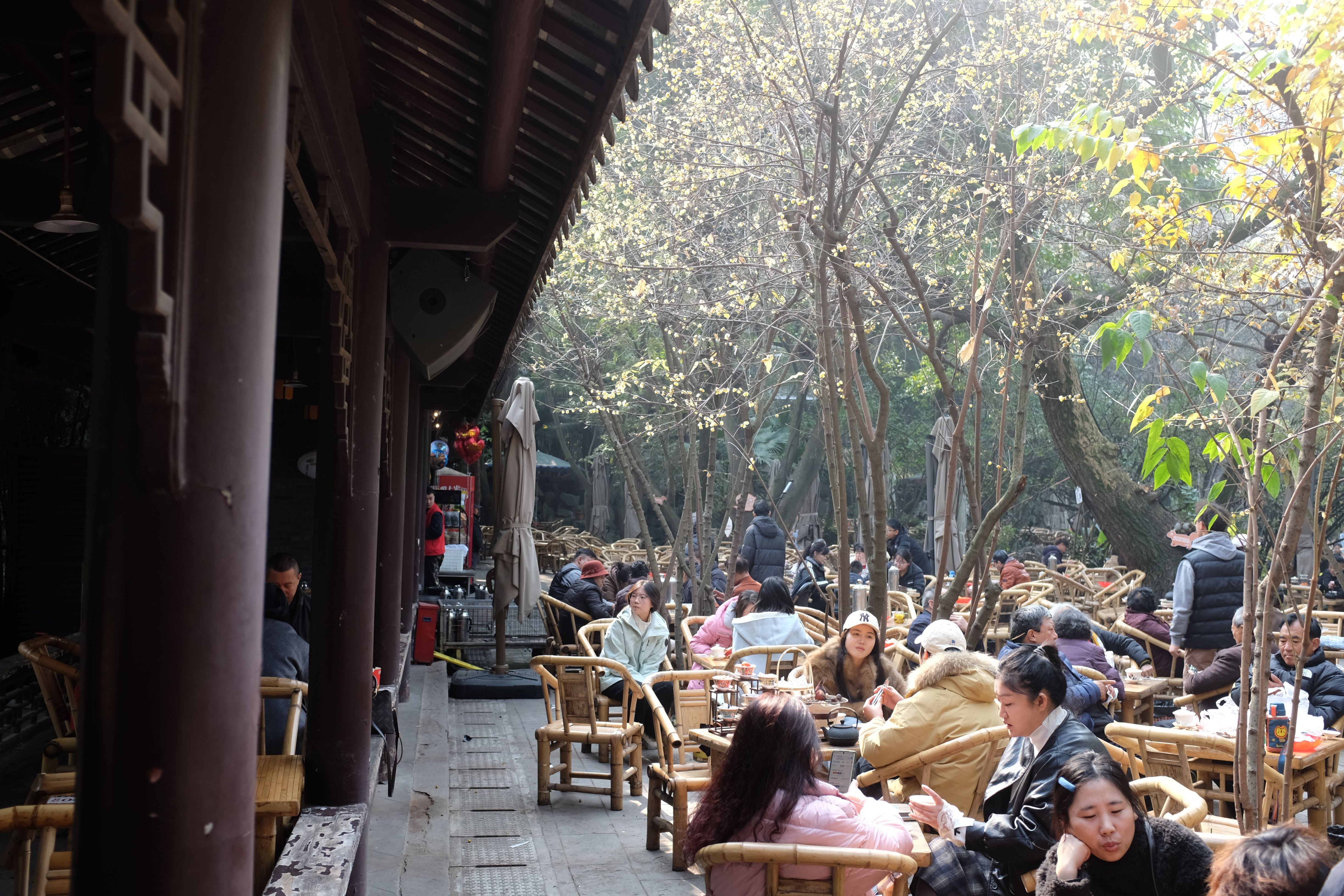 Free A bustling tea garden filled with people enjoying a sunny day outdoors. Stock Photo