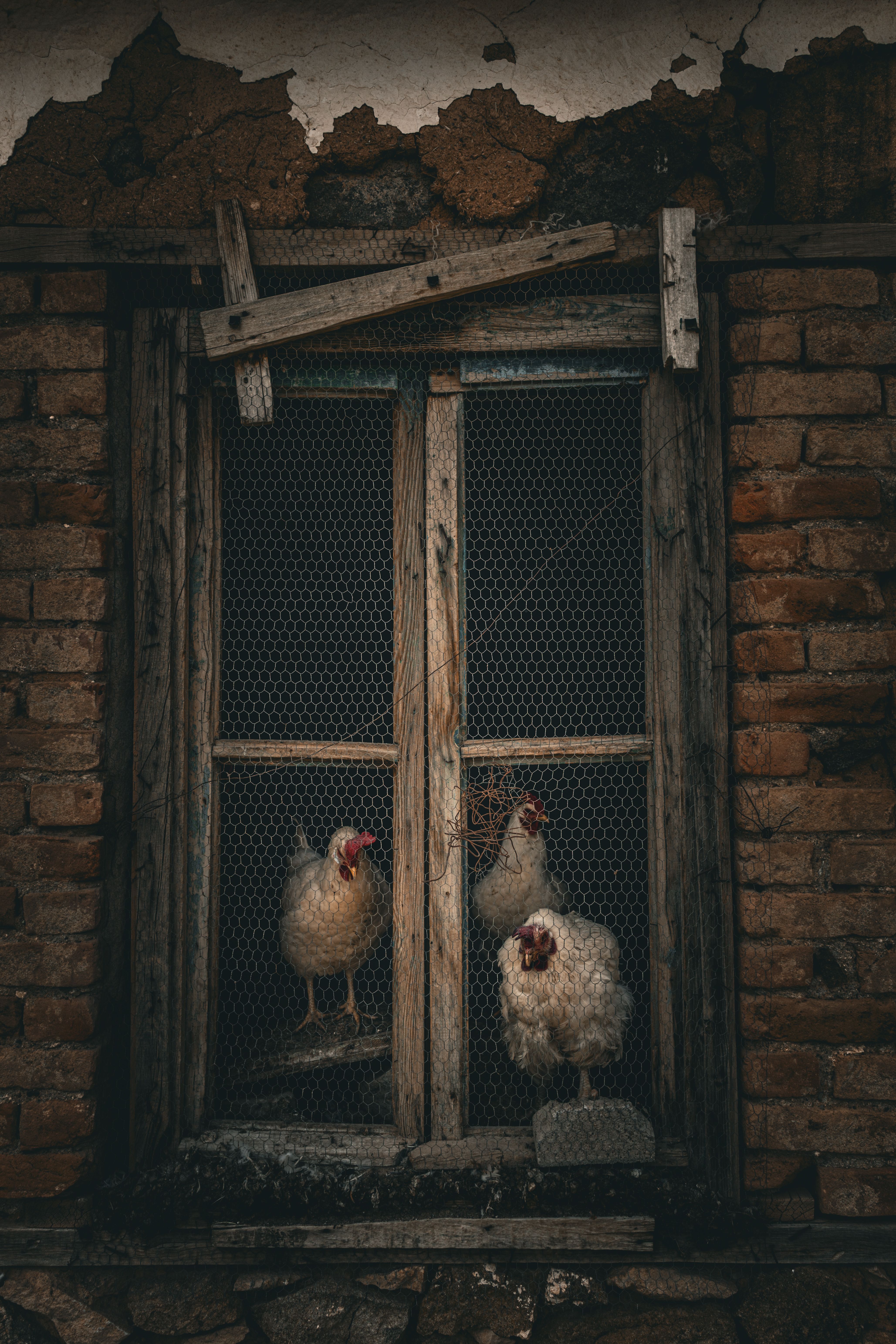 Illustrative poultry-house equipment application
