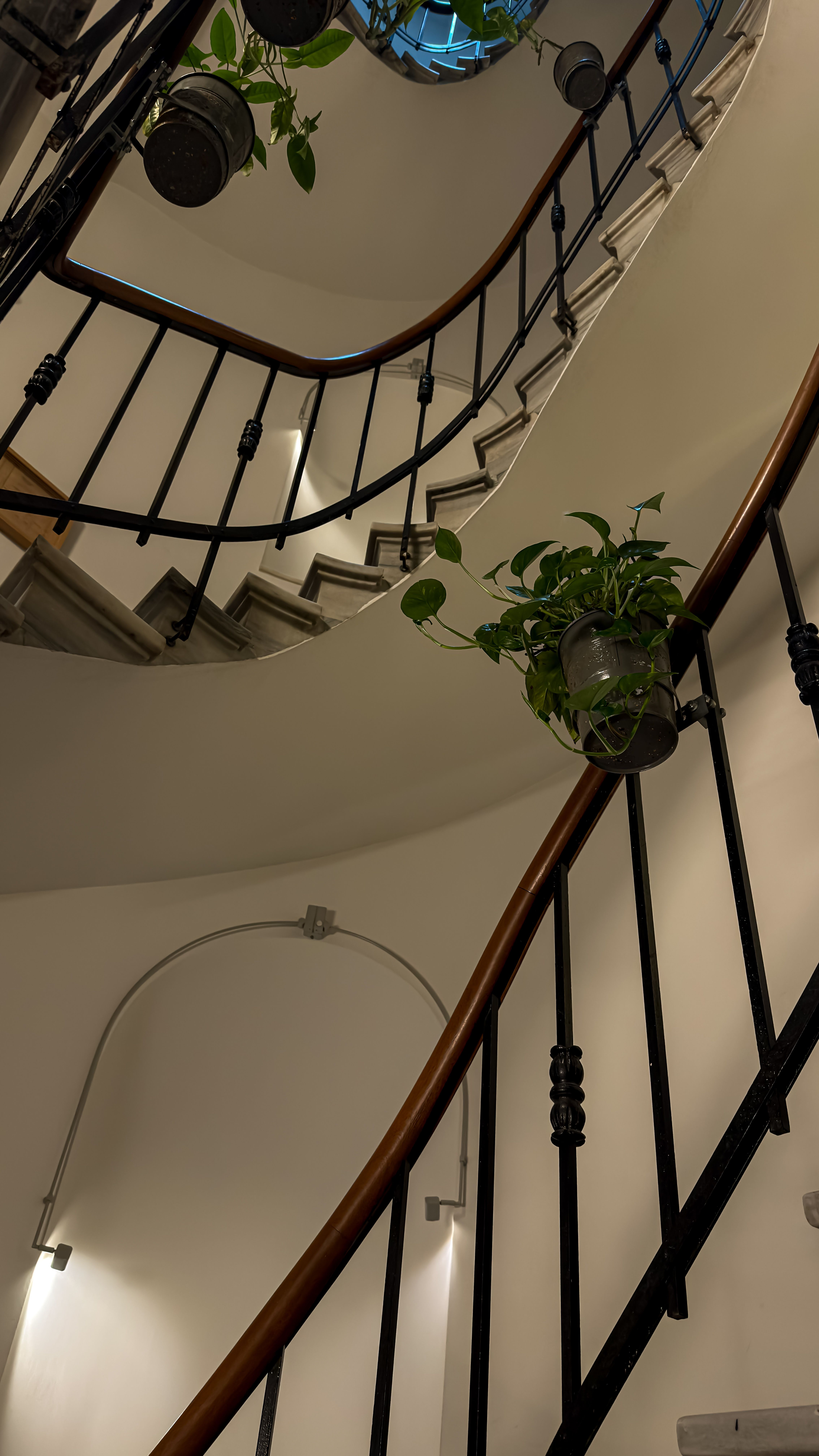 Elegant spiral staircase with plants enhances indoor home decor, showcasing architectural design.