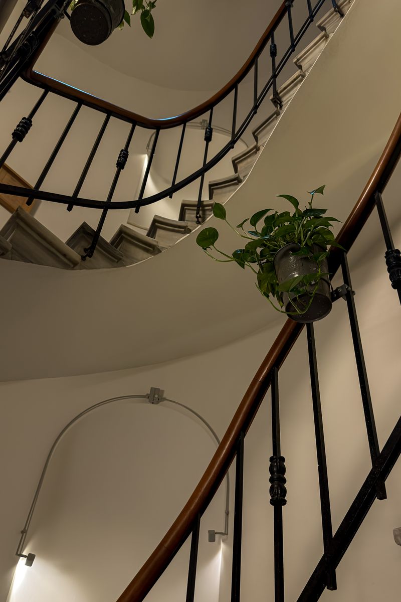 Elegant spiral staircase with plants enhances indoor home decor, showcasing architectural design.