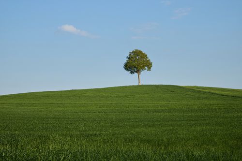 A Green Grass Field under a Cloudy Sky · Free Stock Photo