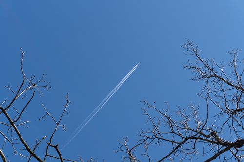 Free A clear blue sky with a jet contrail overhead, framed by bare tree branches. Stock Photo
