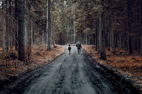 Two People Walking on Road Between Trees