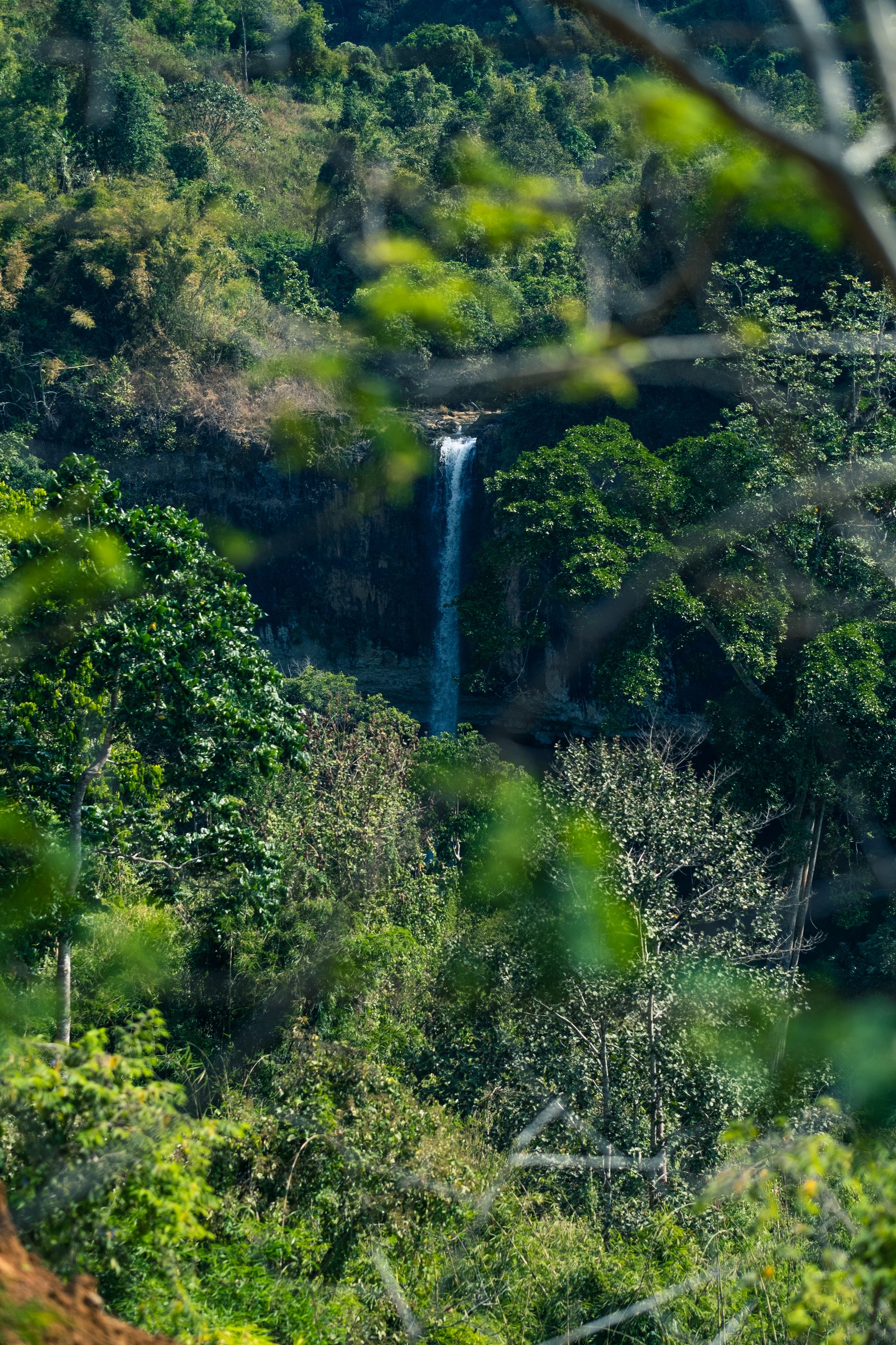 Nature Île Maurice