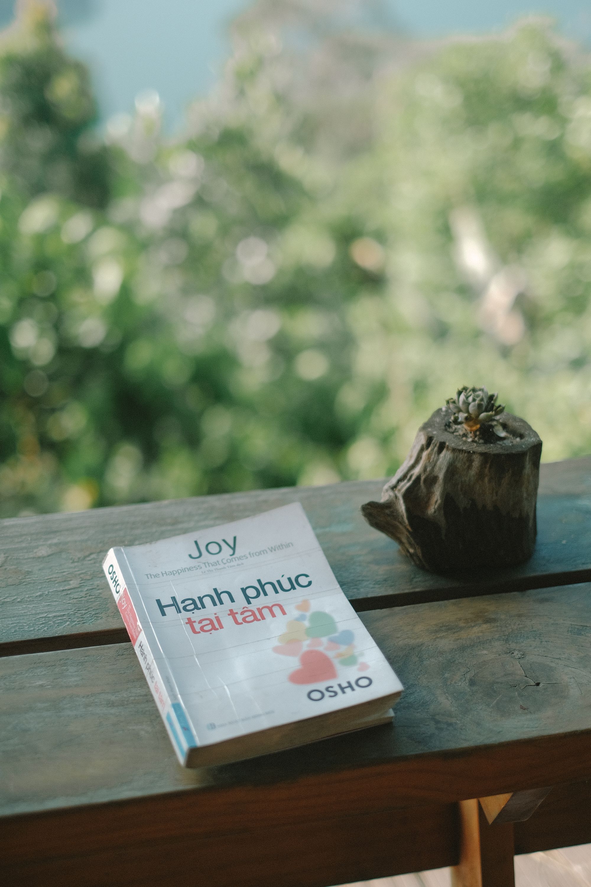 Tranquil outdoor scene with a book and plant on a wooden table, ideal for relaxation themes.
