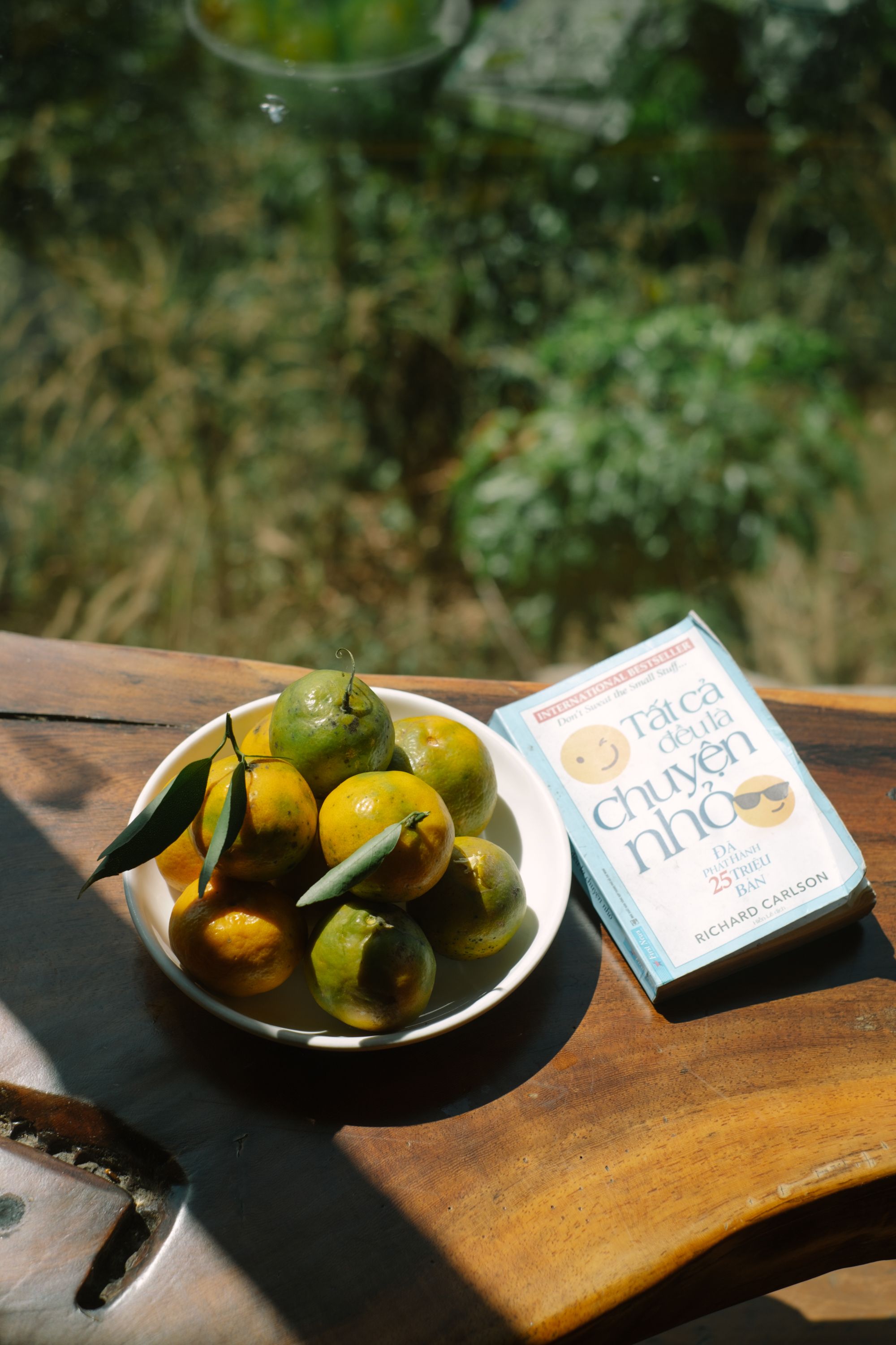 Bowl of citrus fruits and a book on a sunlit wooden table, creating a relaxing atmosphere.