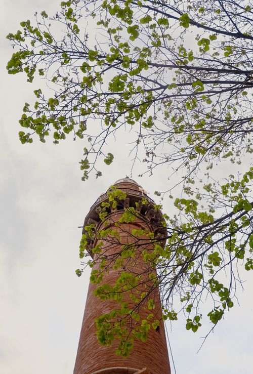 Free View of a classic brick tower with young spring leaves and branches framing the scene. Stock Photo