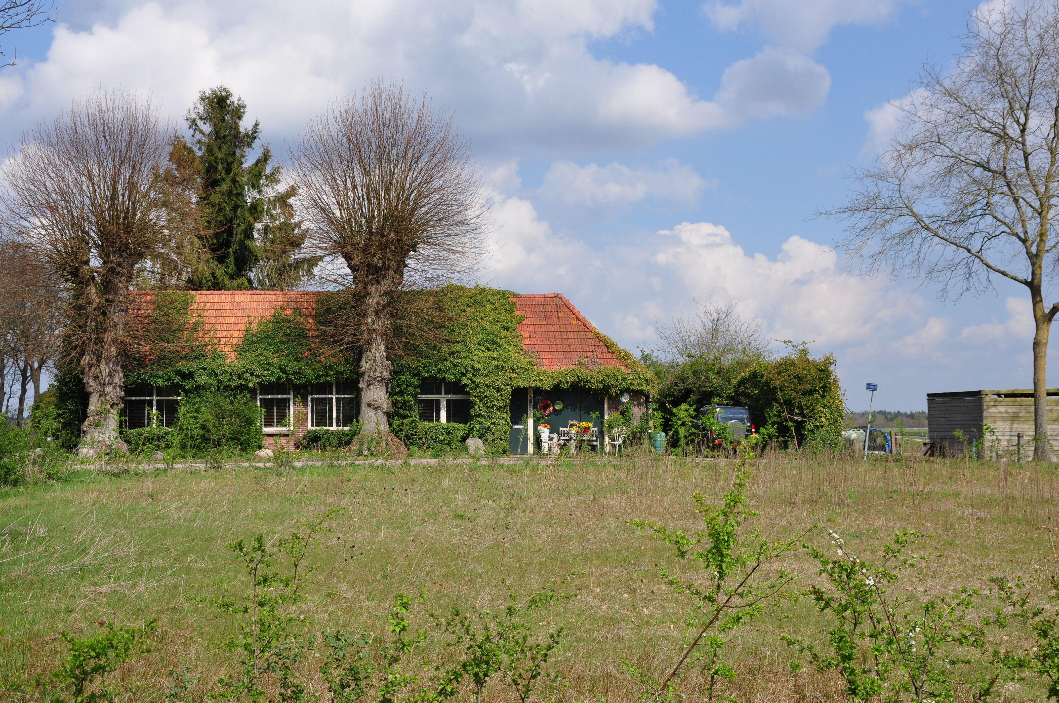 Foto: Wout Nes / Pexels