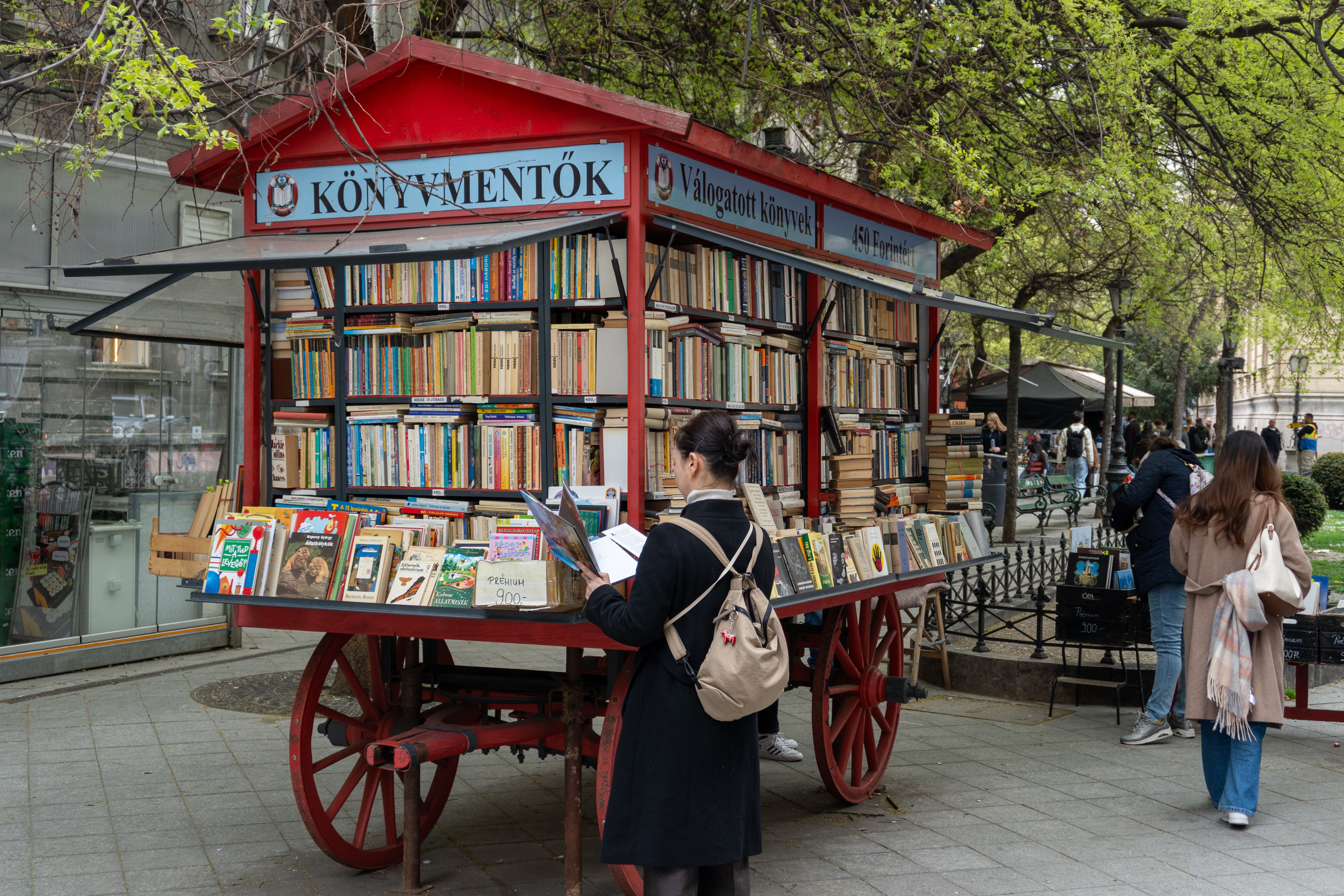 10 books to read if you can’t get enough of ‘A Discovery of Witches’ — Photo by Balázs Nemes on Pexels