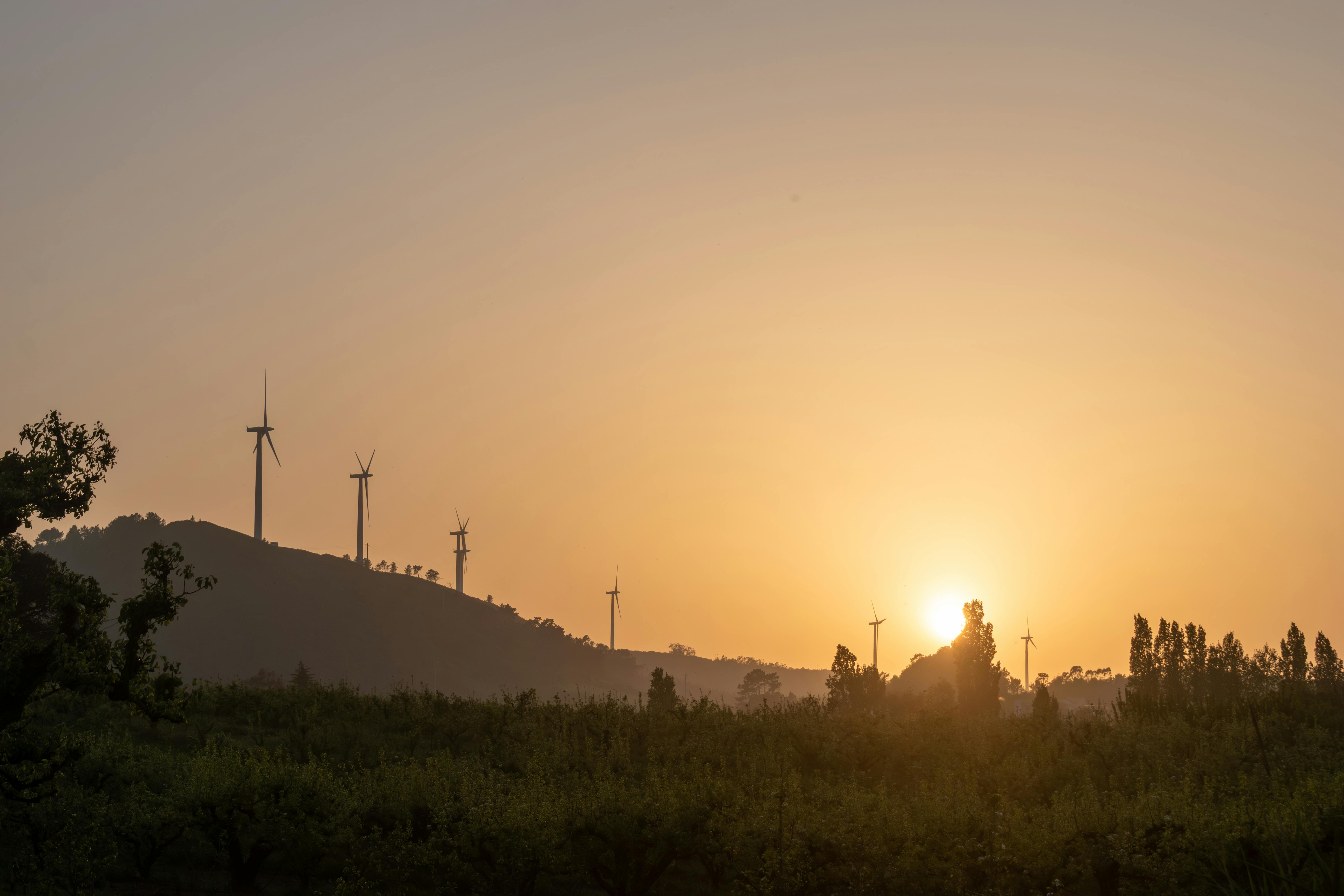 5 Strategic Considerations for Renewable Energy and Sustainable Land Management — Photo by Vadym Alyekseyenko on Pexels