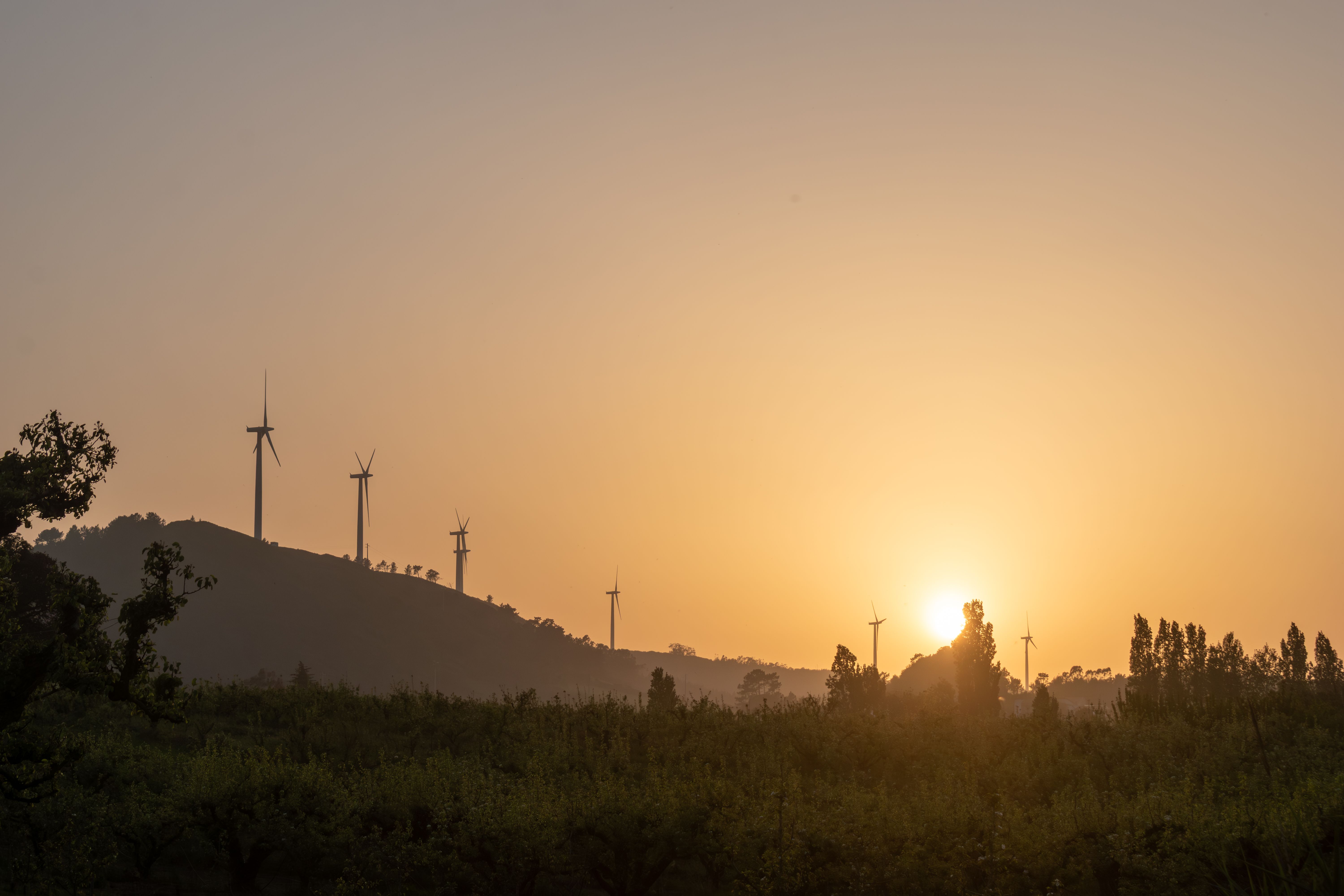 Wind Turbines at Sunset Over Rolling Hills · Free Stock Photo