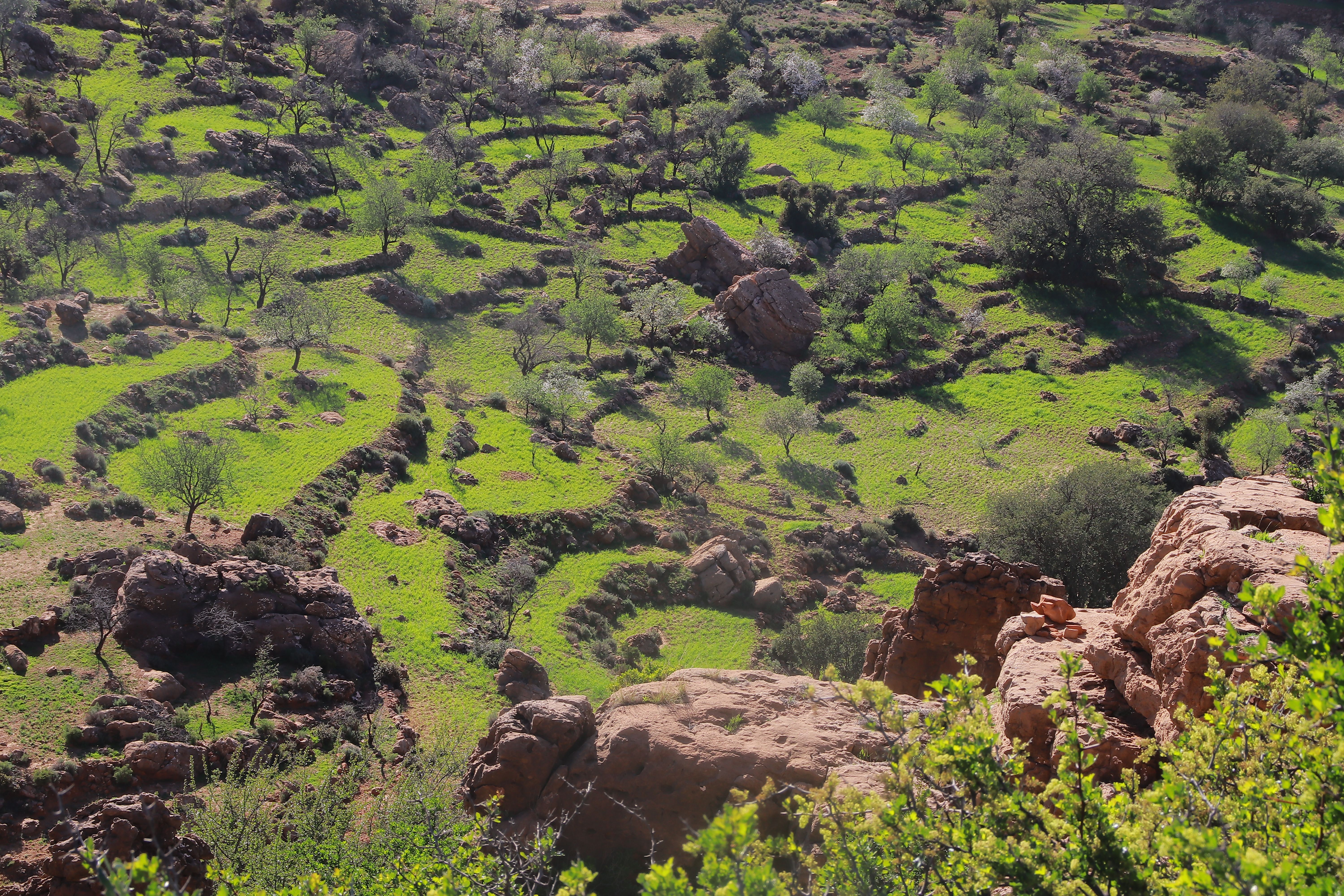 10 Day Ideal Weight & Wellness Retreat in Morocco 2
