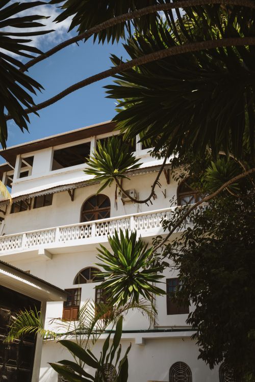 Free A house with colonial architecture surrounded by lush green palm trees in Zanzibar, Tanzania. Stock Photo