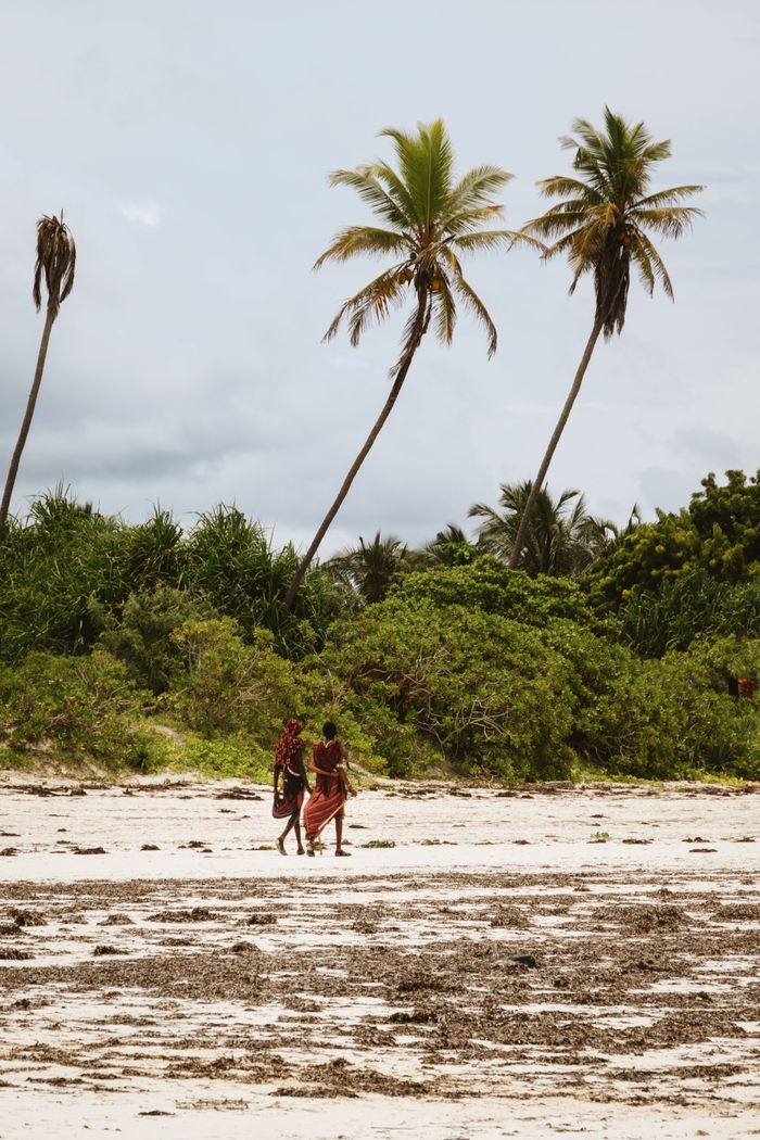 Coastal scenery near Matemwe Beach
