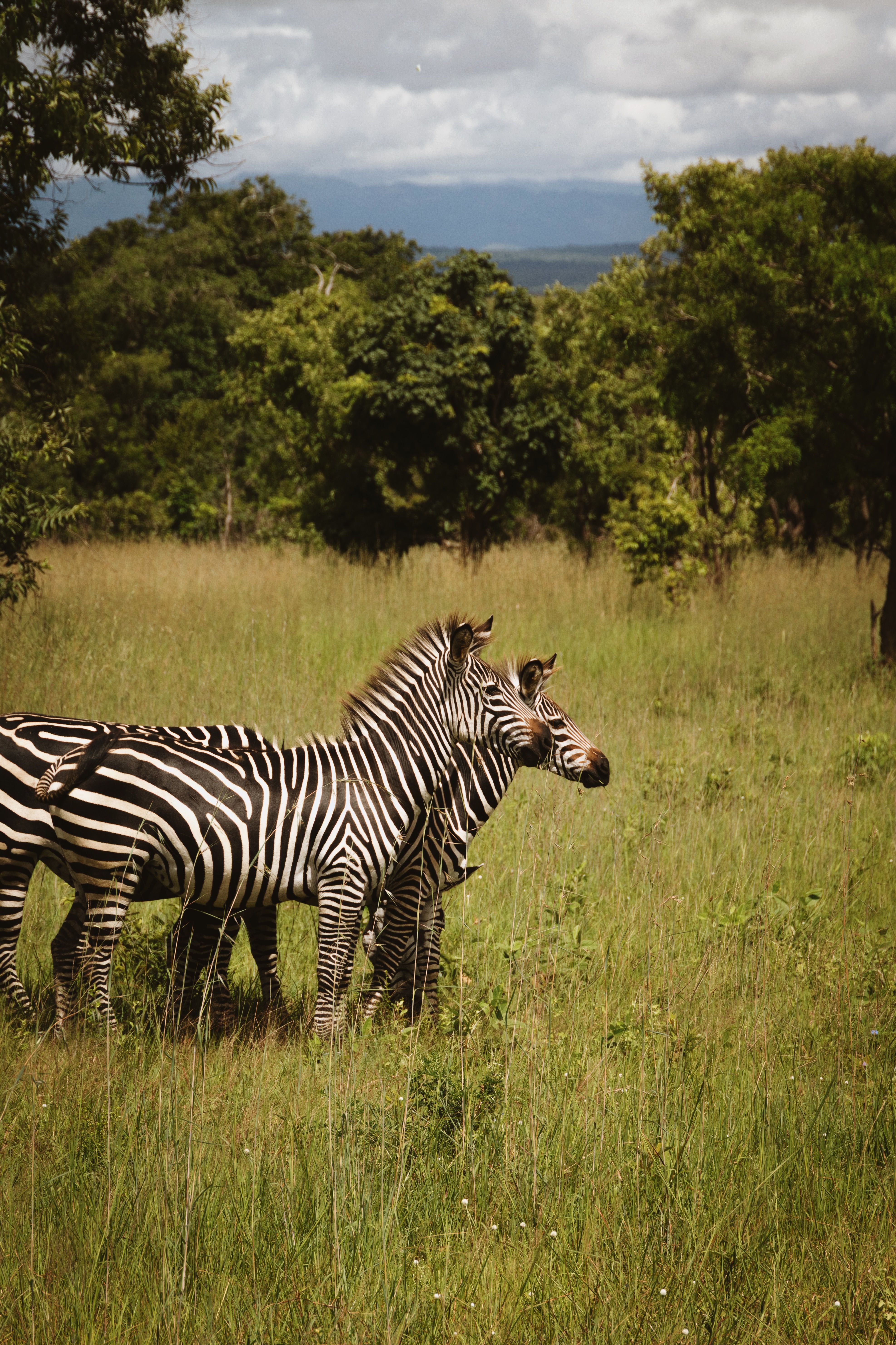 Lake Mburo National Park