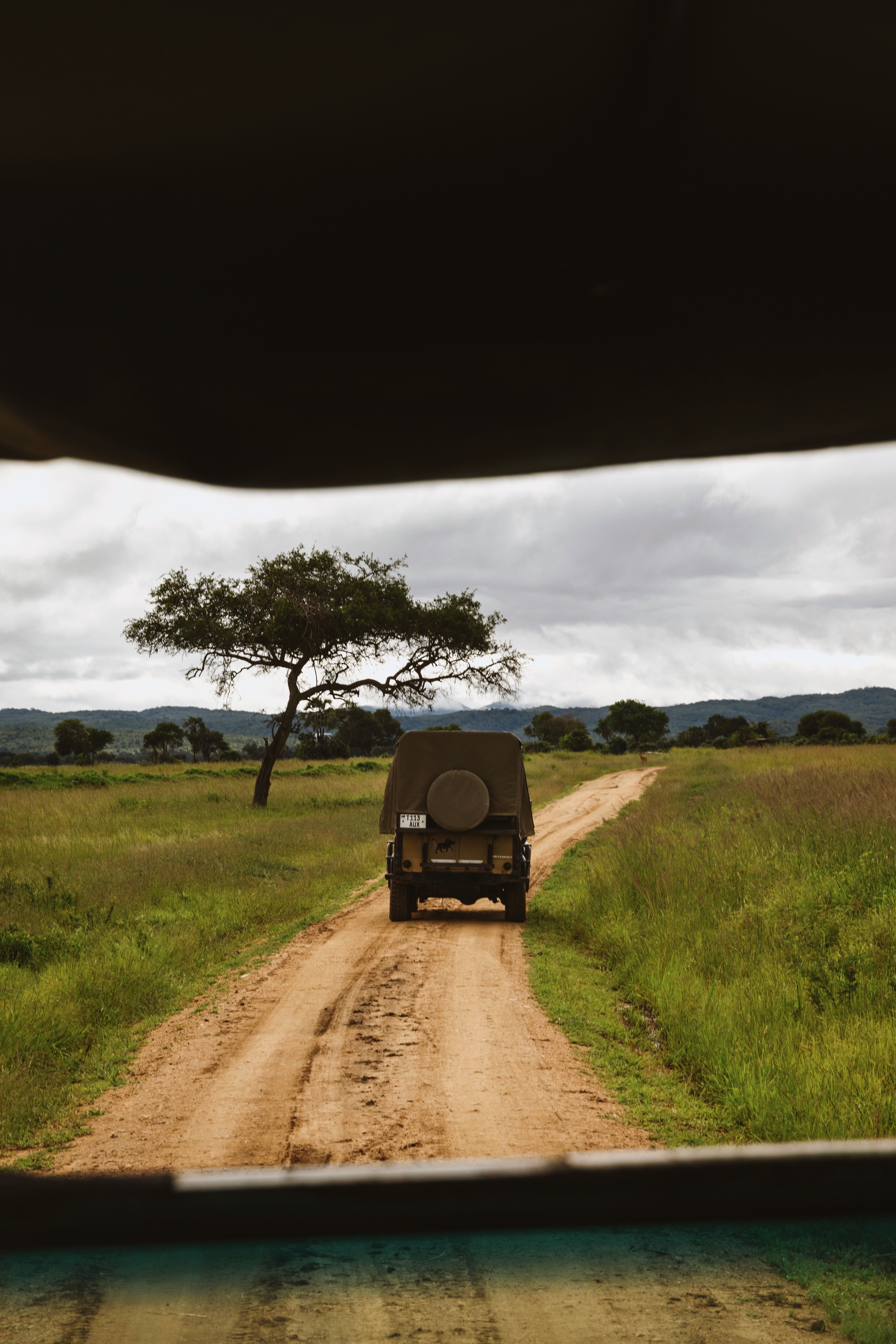 A safari jeep travels on a dirt road through Mikumi National Park, Tanzania.