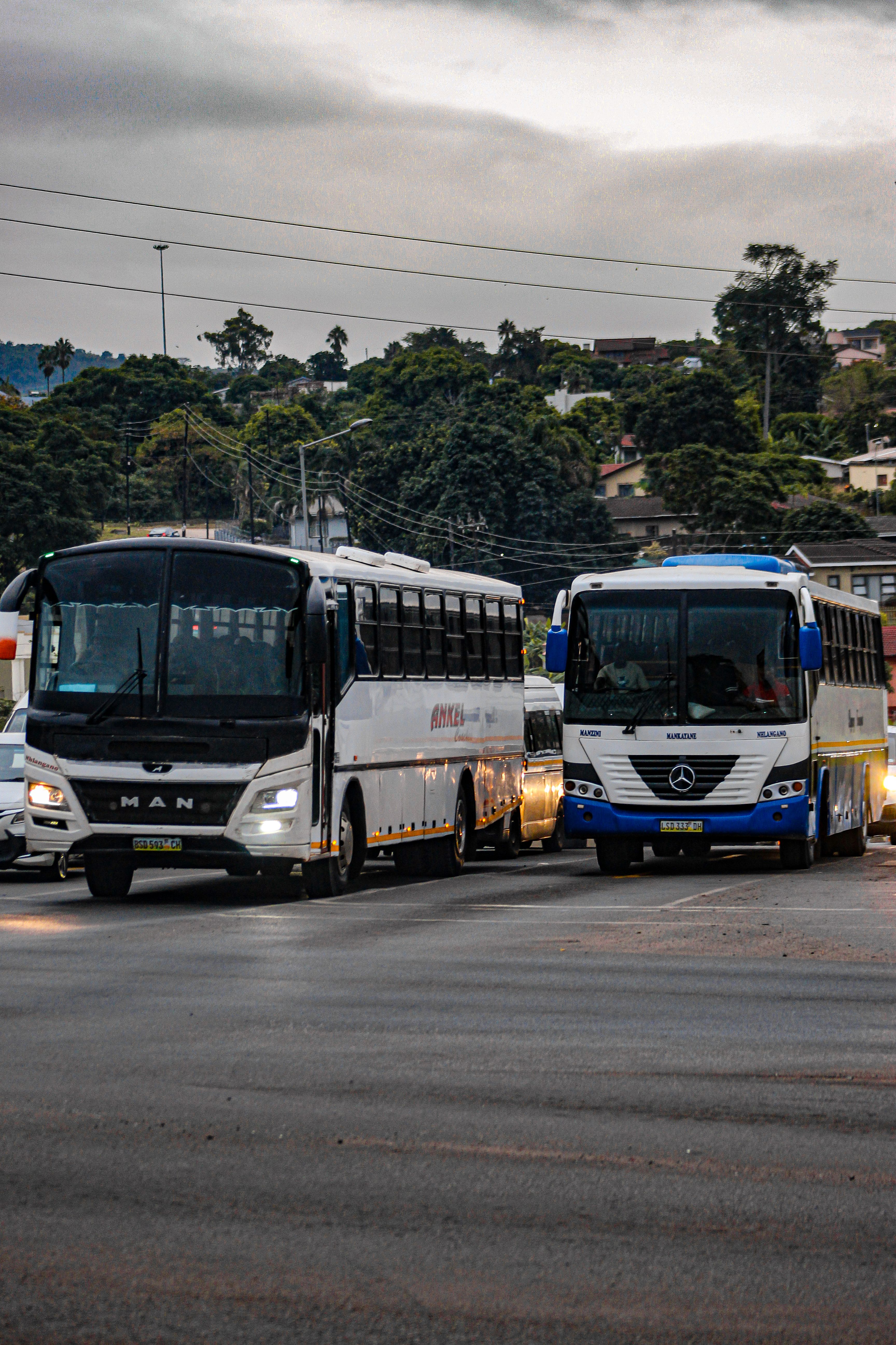 Two large buses, one black and one white, navigate an urban street intersection, surrounded by lush greenery.