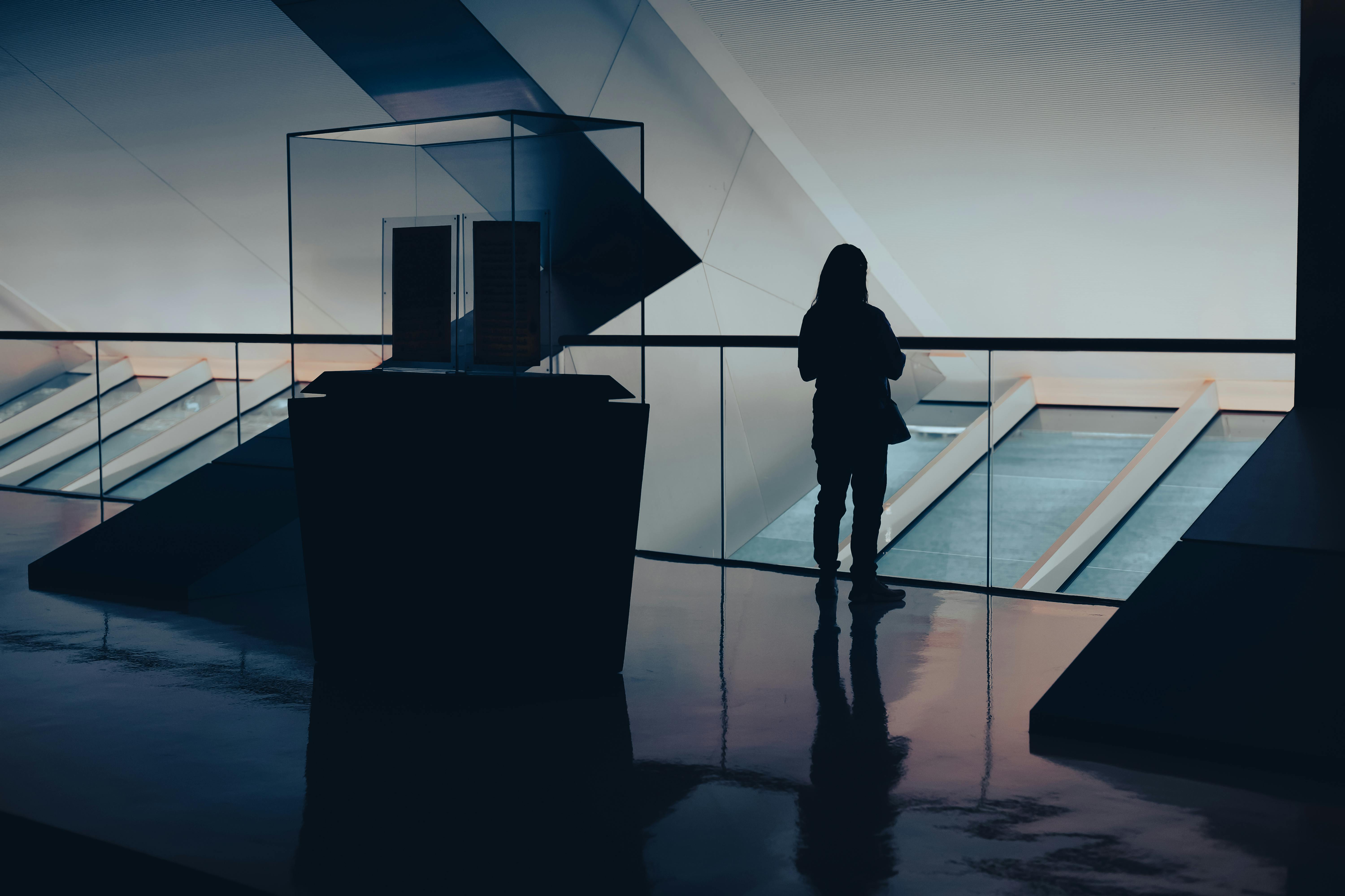 Defining the skills citizens will need in the future world of work — Photo by Disney Magat on Pexels
