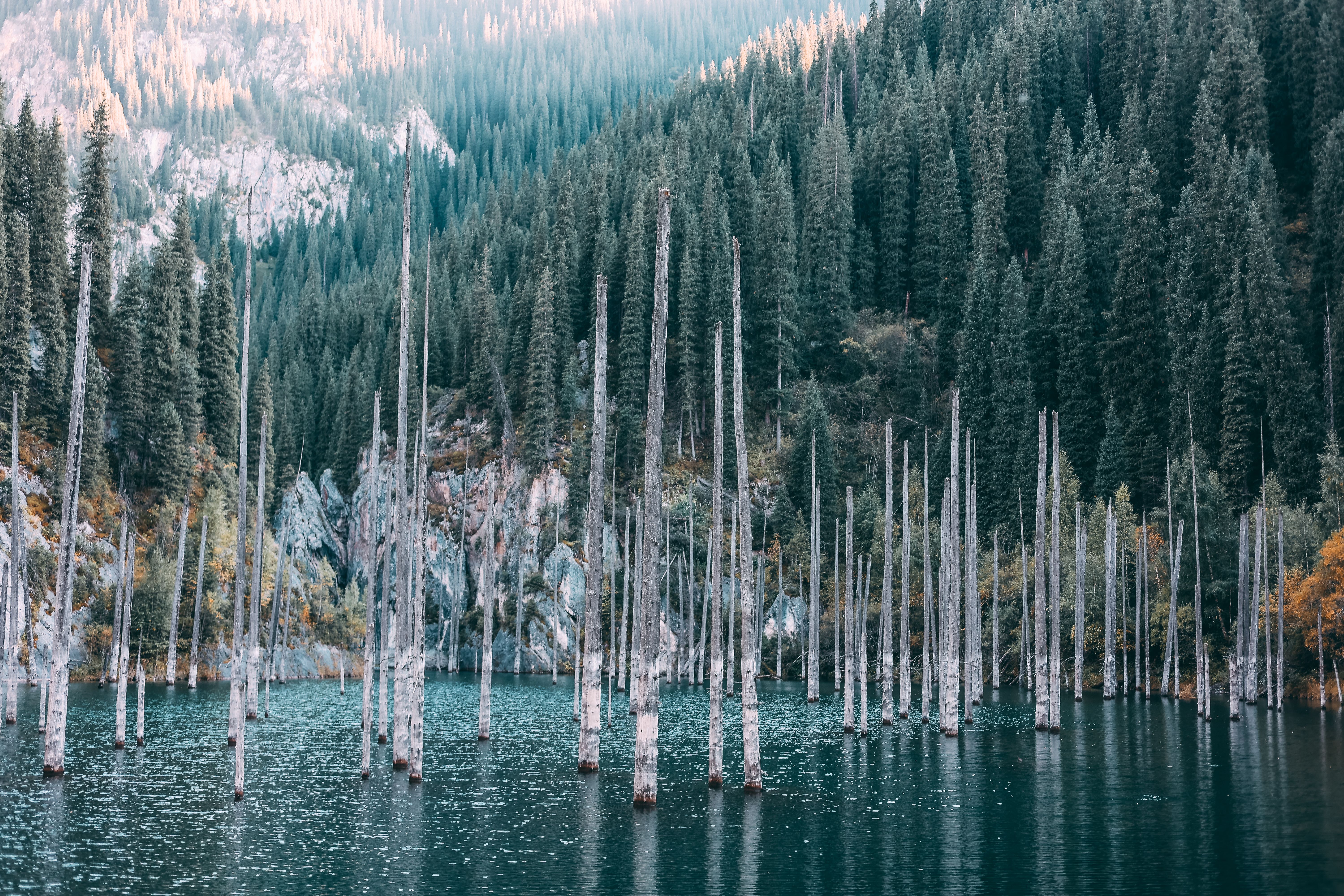 serene-lake-kaindy-with-submerged-trees-in-kazakhstan-free-stock-photo