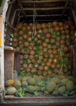Pineapples stacked in a truck in Kano, Nigeria, showcasing local agriculture.