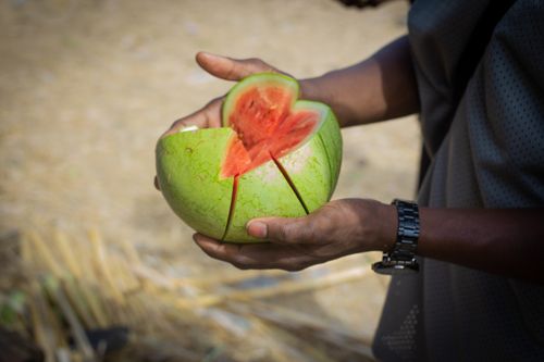 Free Person holding a sliced watermelon outdoors in Kano, Nigeria. Stock Photo