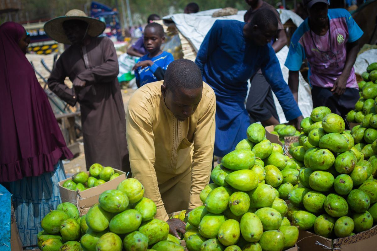 Clean, unblemished fruit at market — the payoff of good pest management.