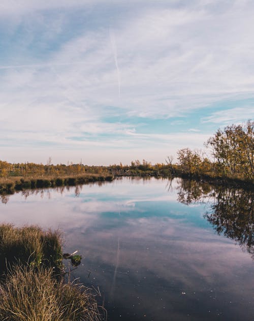 Бесплатное стоковое фото с болото, Голландия, голубое небо