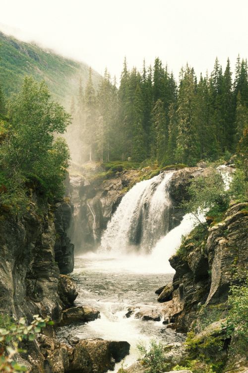 Free Captivating waterfall in lush green forest setting, ideal for nature enthusiasts. Stock Photo